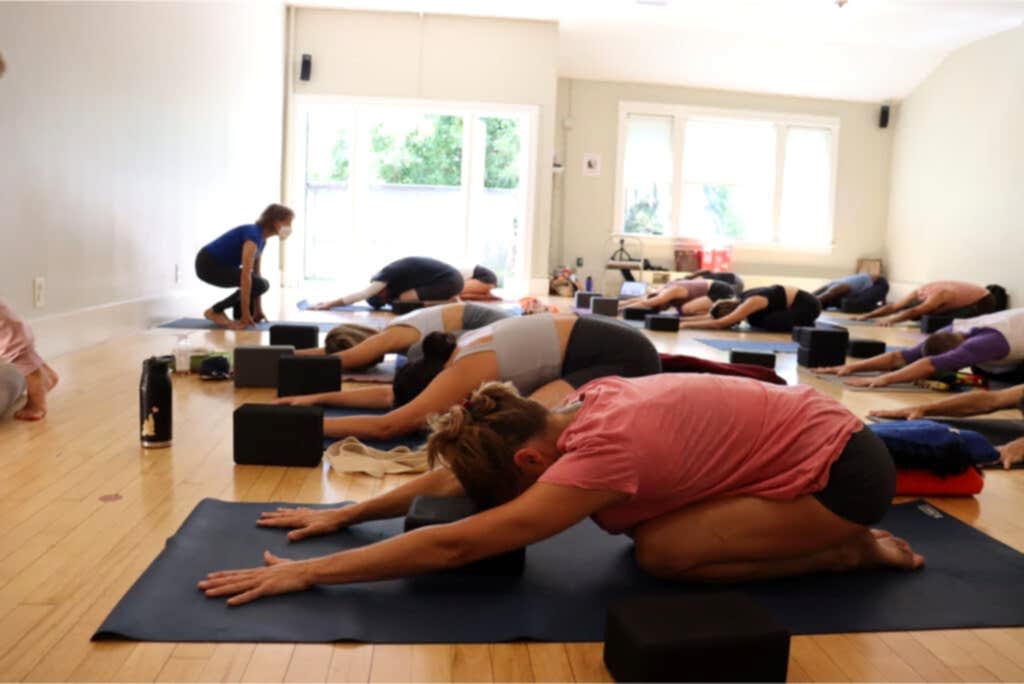 cobra pose